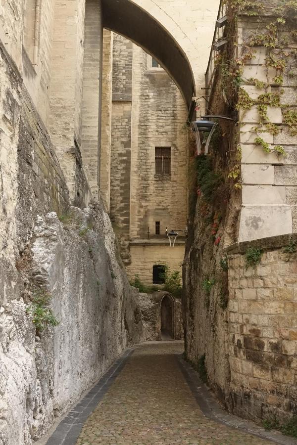 La Maison Im * Avignon
